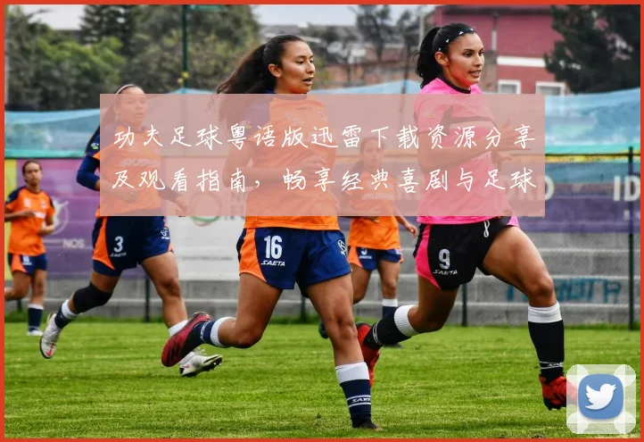 功夫足球粤语版迅雷下载资源分享及观看指南，畅享经典喜剧与足球激情结合的乐趣
