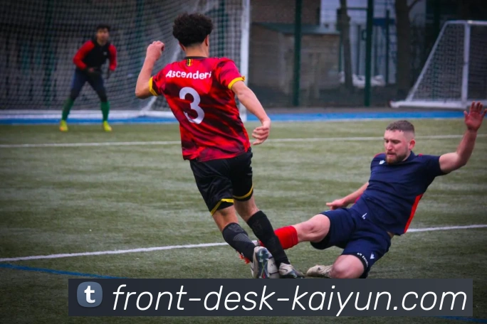 开云平台生态图